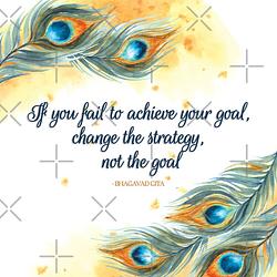 If You Fail to Achieve Your Goal