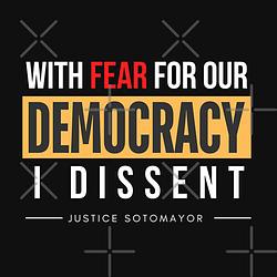 With Fear For Our Democracy: I Dissent