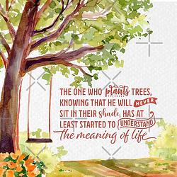 The Meaning of Life