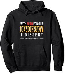 With Fear for our Democracy: I Dissent