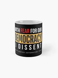 With Fear for our Democracy: I Dissent