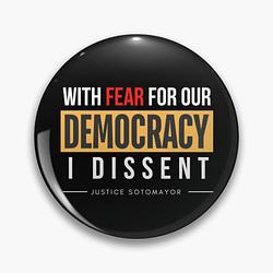 With Fear for our Democracy: I Dissent