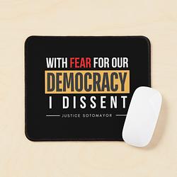 With Fear for our Democracy: I Dissent
